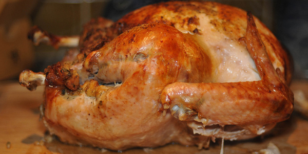 photo of a roast turkey