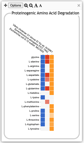 A popup box labeled Proteinogenic Amino Acid Degradation,
       containing a rectangular grid of colored boxes, where each row is
       labeled with a different amino acid, and each column labeled
       with an organism name. A box is colored if one or more pathways for
       the degradation of a given amino acid has been identified in a
       given organism. For example, the first two rows show that alanine
       can be degraded by all three organisms, but arginine can be
       degraded by only two of them.