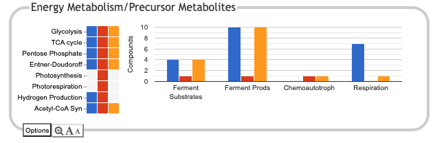 The Energy Metabolism panel, as described in the page text.