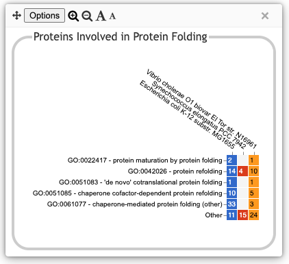 A popup box labeled
  Proteins Involved in Protein Folding, containing a rectangular grid
  of colored boxes, where each row is labeled with a different GO term
  related to protein folding, and each column labeled with an organism
  name. A box is colored if the organism has at least one gene product
  annotated to the specified term. Each colored box also contains a number,
  indicating the number of gene products annotated to that term.